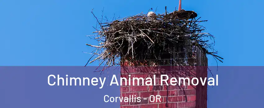 Chimney Animal Removal Corvallis - OR