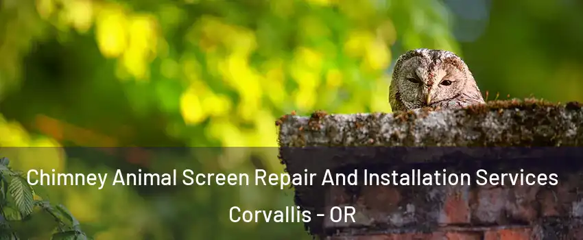  Chimney Animal Screen Repair And Installation Services Corvallis - OR