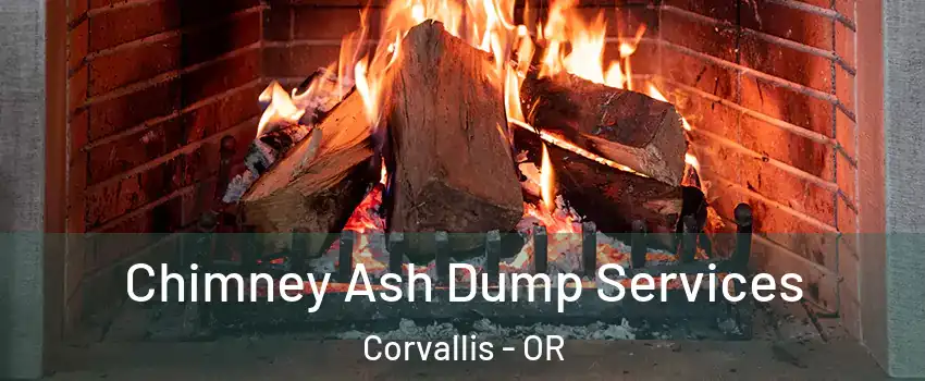  Chimney Ash Dump Services Corvallis - OR
