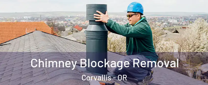  Chimney Blockage Removal Corvallis - OR