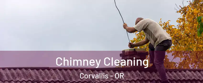  Chimney Cleaning Corvallis - OR