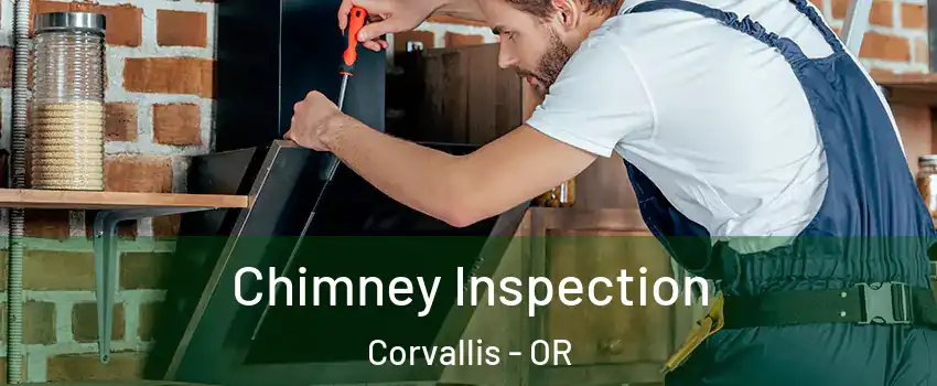  Chimney Inspection Corvallis - OR