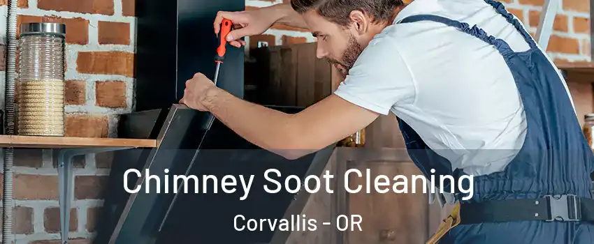  Chimney Soot Cleaning Corvallis - OR