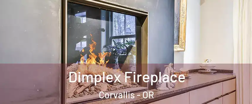  Dimplex Fireplace Corvallis - OR
