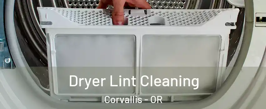  Dryer Lint Cleaning Corvallis - OR