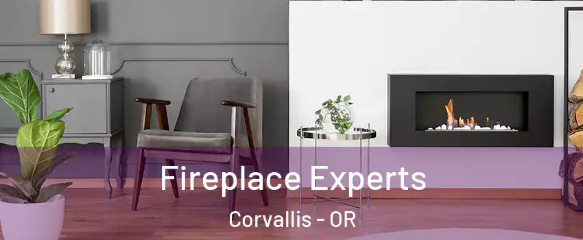  Fireplace Experts Corvallis - OR