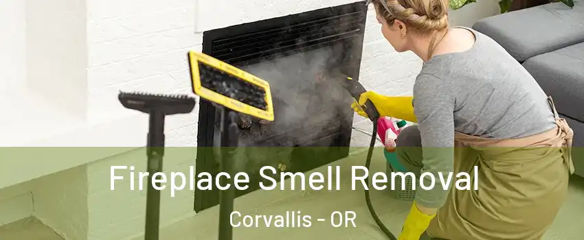  Fireplace Smell Removal Corvallis - OR