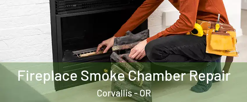  Fireplace Smoke Chamber Repair Corvallis - OR