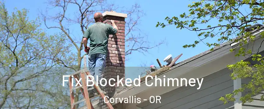  Fix Blocked Chimney Corvallis - OR