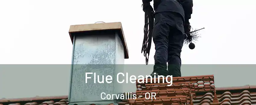  Flue Cleaning Corvallis - OR