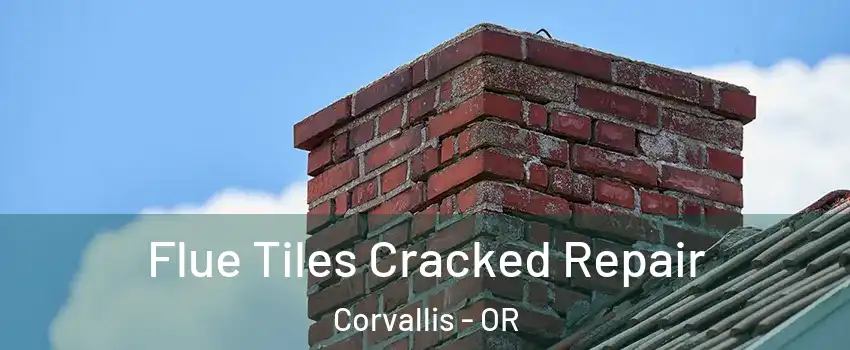  Flue Tiles Cracked Repair Corvallis - OR