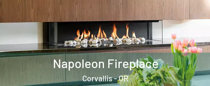 Napoleon Fireplace Corvallis - OR